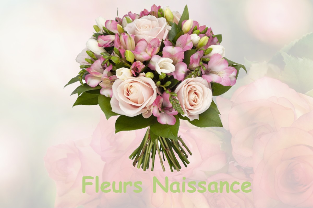 fleurs naissance SAINT-JEURE-D-AY