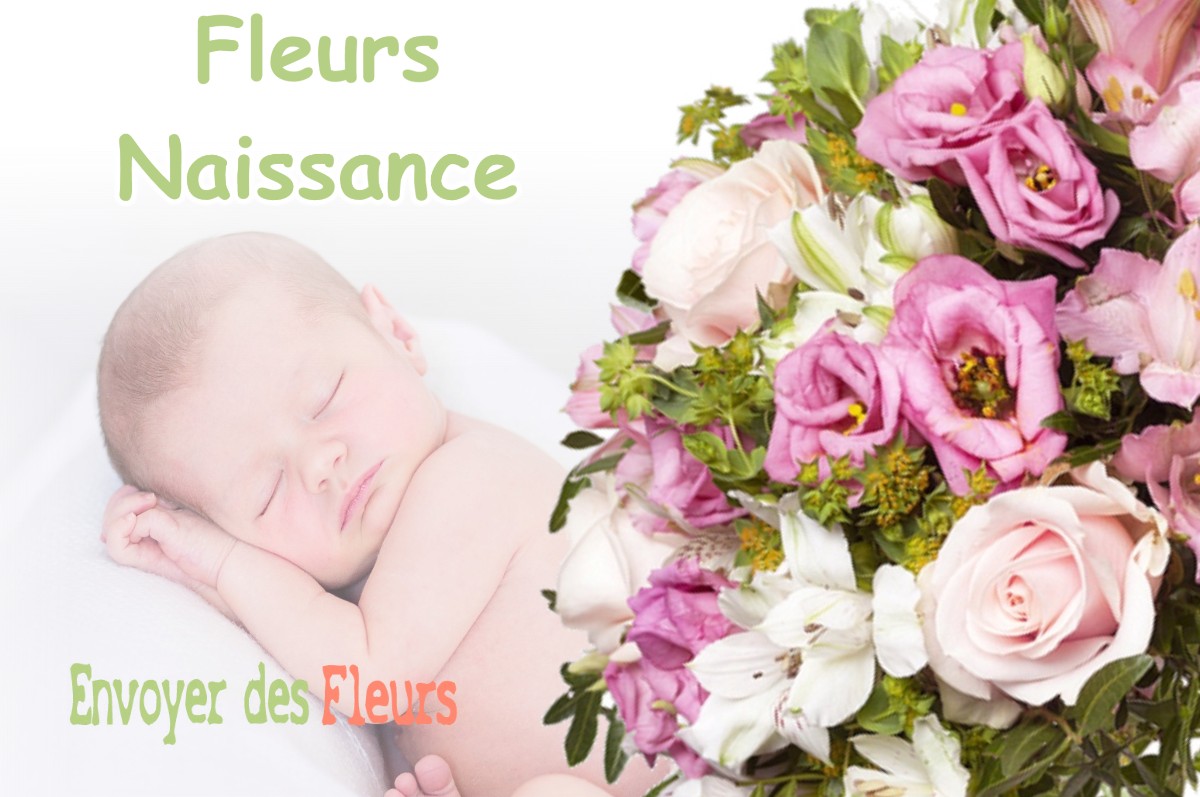 lIVRAISON FLEURS NAISSANCE à SAINT-JEURE-D-AY