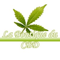 LA BOUTIQUE DU CBD SAINT-JEURE-D-AY 